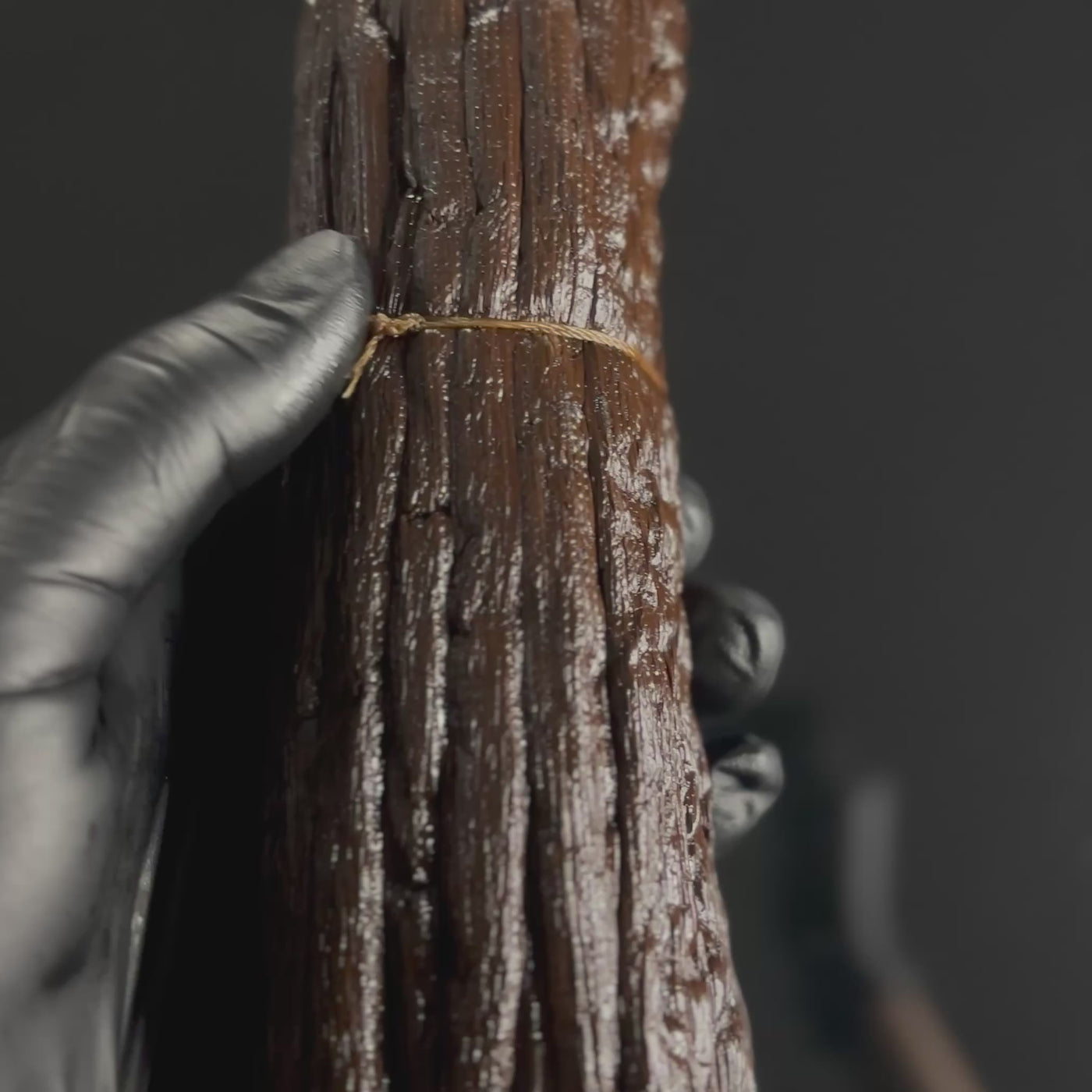 Vanille Bourbon Noire – Madagascar – Qualité Gourmet