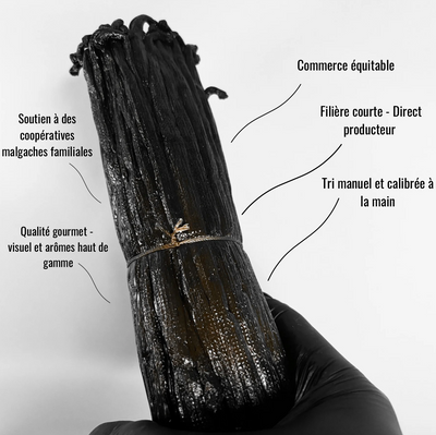 Vanille Bourbon Noire – Madagascar – Qualité Gourmet